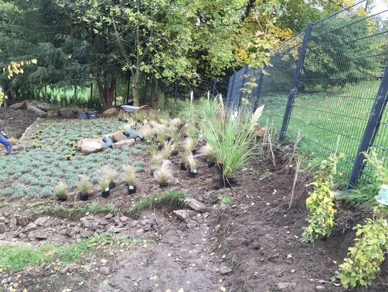 Anlegen von Rasenflächen galerie 5